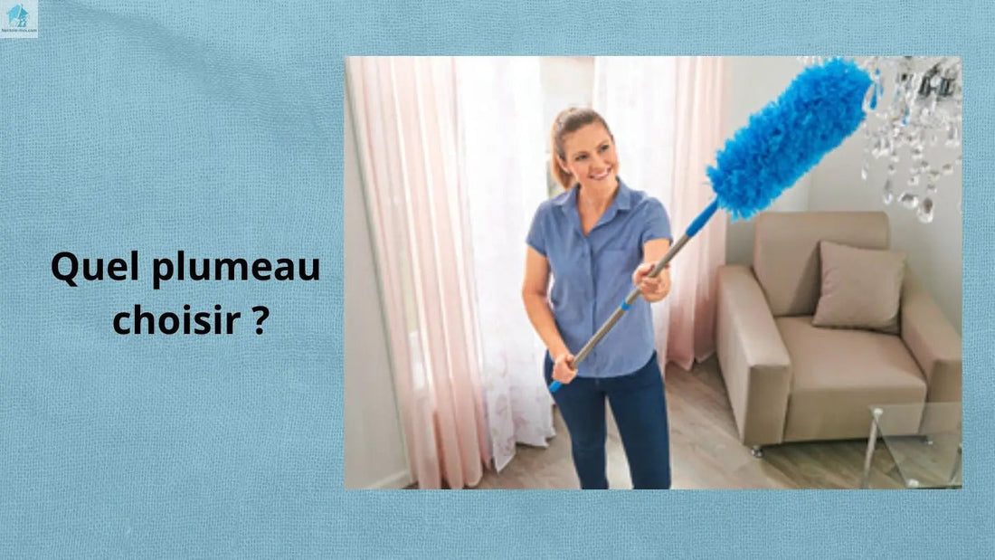 quel plumeau choisir