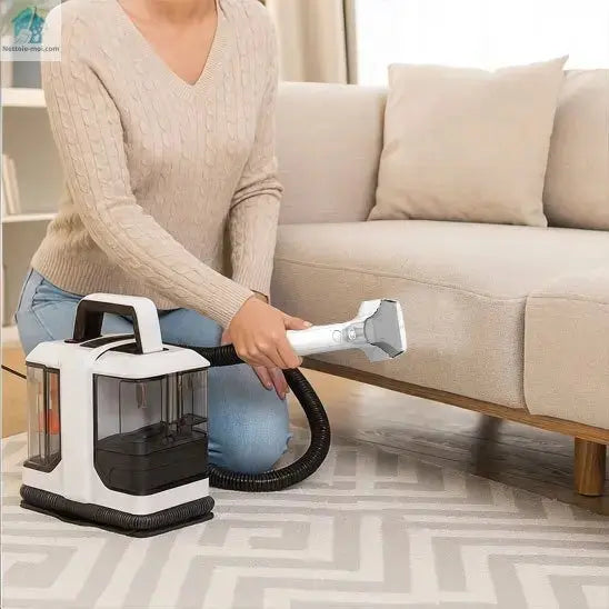 Aspirateur pour poil de chien | PowerClean canapé