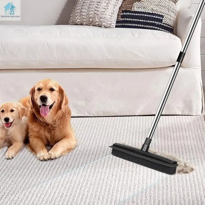 Balai brosse caoutchouc avec chien