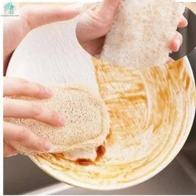Éponge naturelle assiette sale