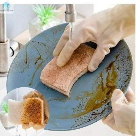 Éponge naturelle assiette bleu