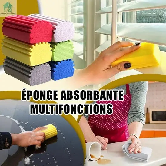 Éponges lavables multiusages