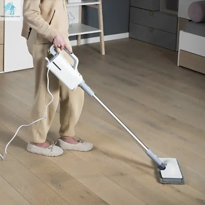 nettoyeur vapeur à main parquet