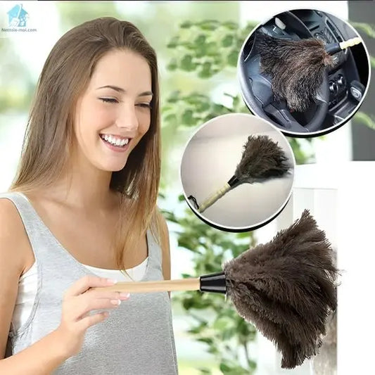 Plumeau pour poussière Autruche