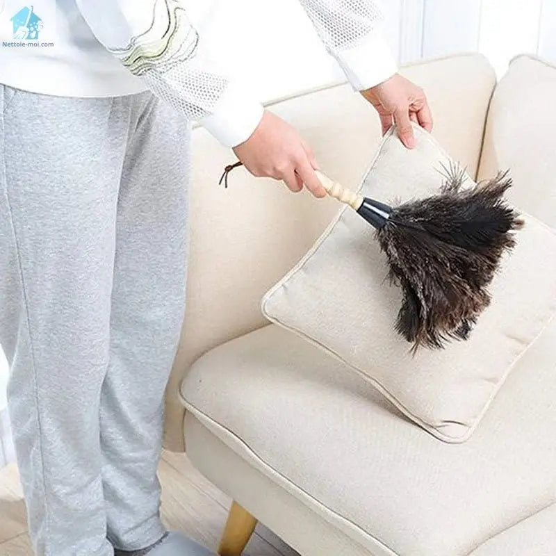 Plumeau pour poussière canapé 