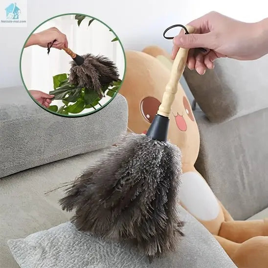 Plumeau pour poussière Autruche plante