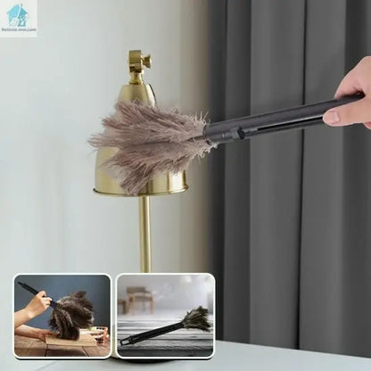 Plumeau pour poussière lampe meuble