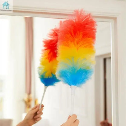 Plumeau poussière vitre