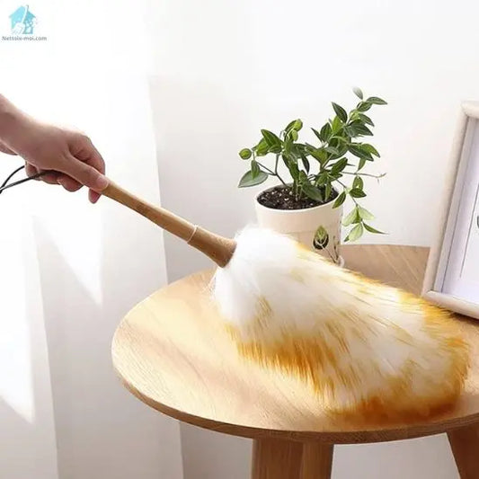 Plumeau poussière en laine plante