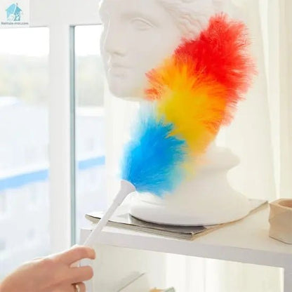 Plumeau poussière blanc buste