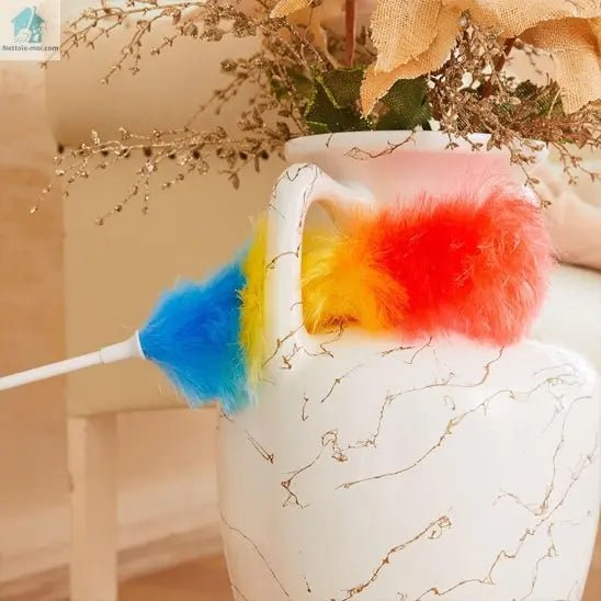 Plumeau poussiere vase ance