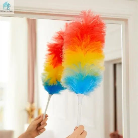 Plumeau poussière vitre