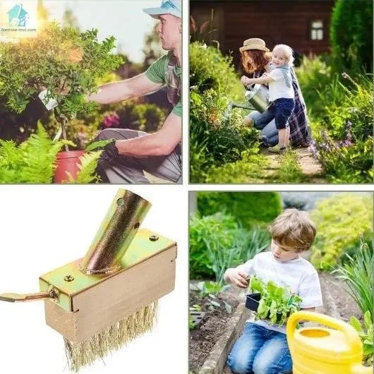 Brosse Métallique - Steelbristles™ mauvaises herbes
